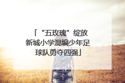 “五玫瑰”绽放 新城小学混编少年足球队勇夺四强